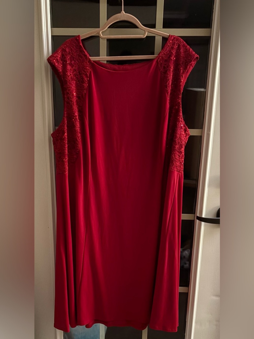 Connected apparel Red Sleeveless Lace, Sequin Yoke Dress